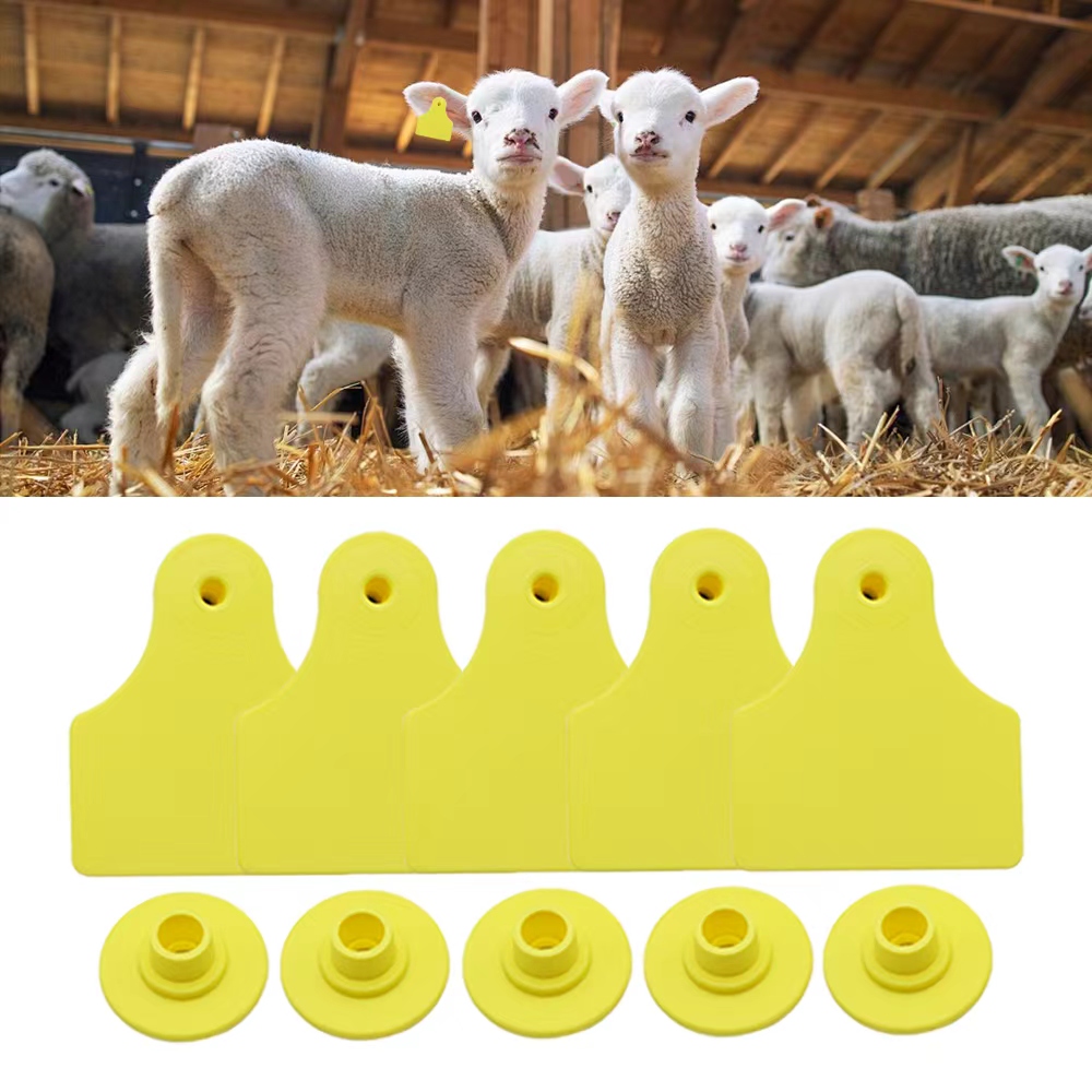Livestock Ear Tag - 20 szt. 40*50mm Puste kolczyki dla