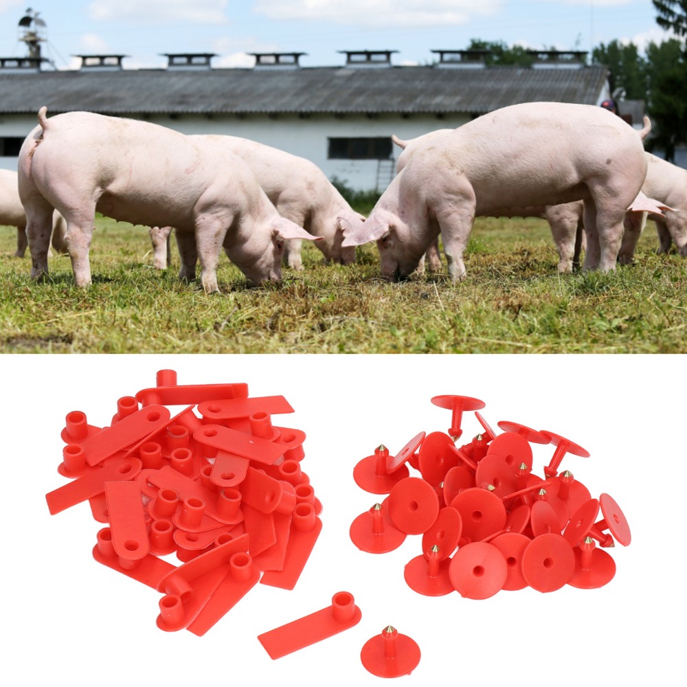 Livestock Ear Tag - 100 szt. Ręcznie pisane, puste kolczyki
