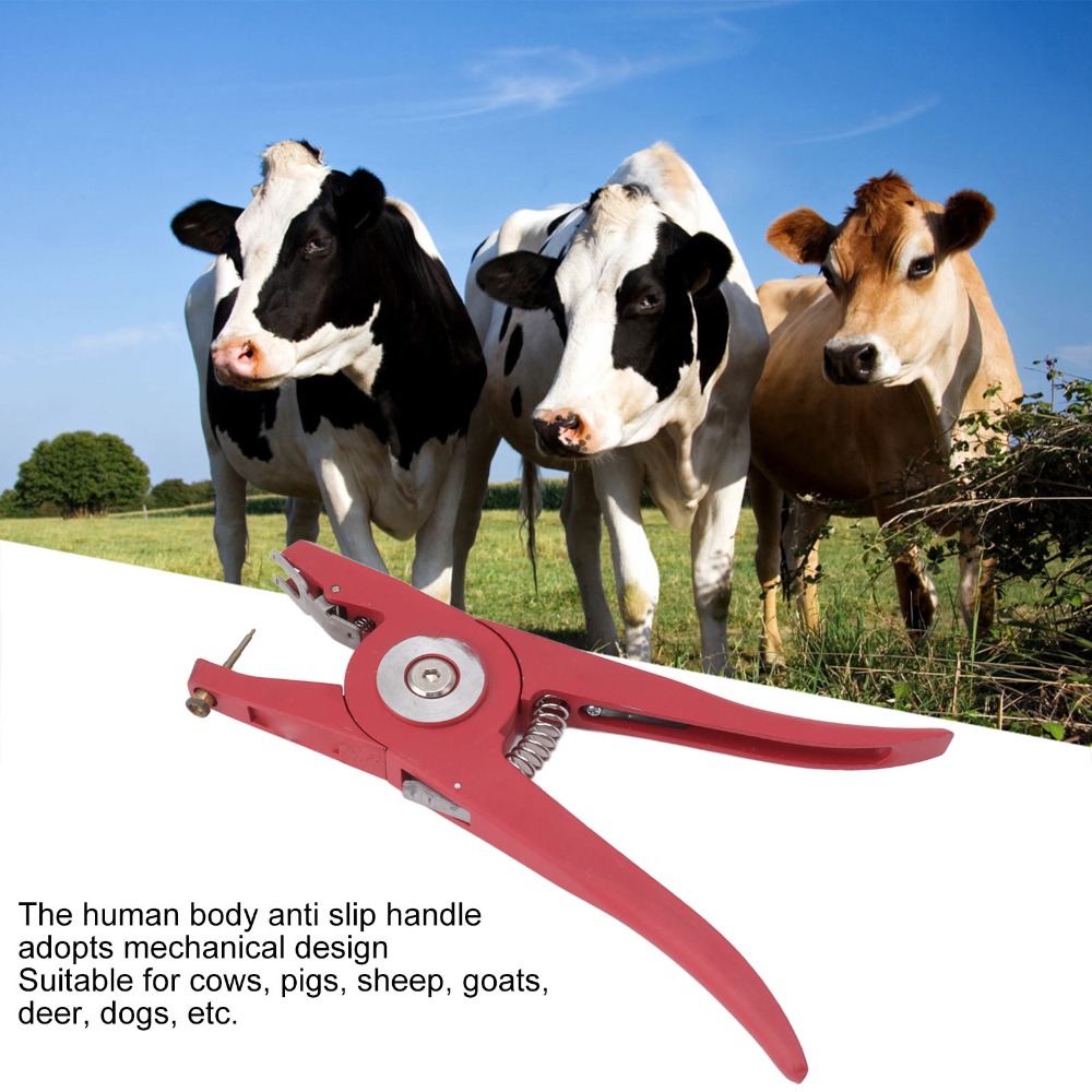 Szczypce do kolczykowania zwie – Livestock Ear Tag recenzja i cena